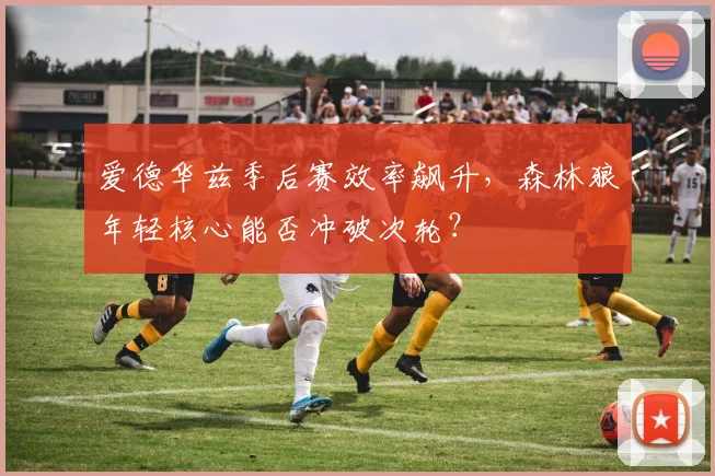 爱德华兹季后赛效率飙升，森林狼年轻核心能否冲破次轮？